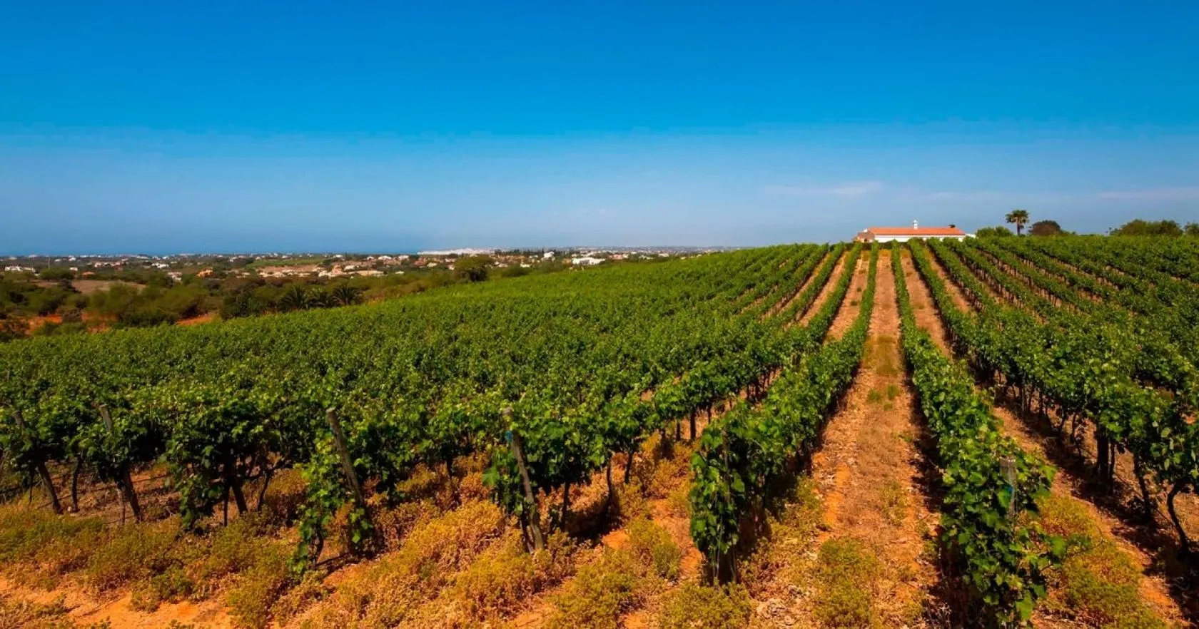 Central Algarve Nature
