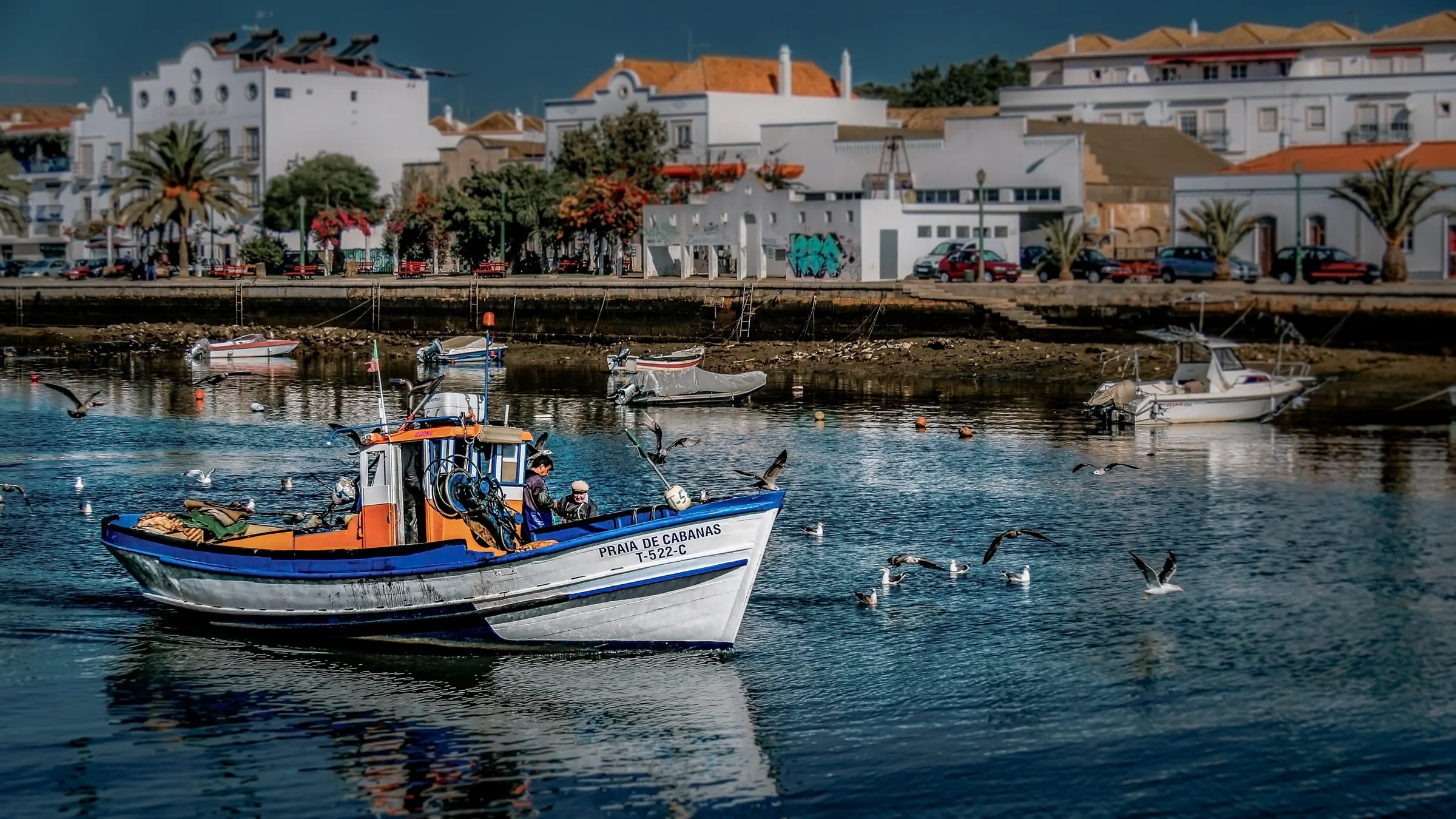 East Algarve Nature